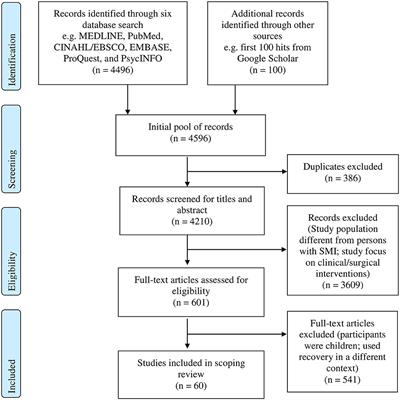 Essential Elements That Contribute to the Recovery of Persons With Severe Mental Illness: A Systematic Scoping Study